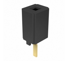 Image CES-101-01-G-S.