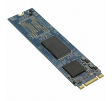 Image APM2T80P201016GAN-8TM.