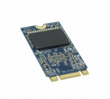 Image APM2T42P100064GAN-1TM.