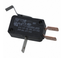 Image V7-1V19E994-403.