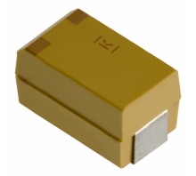 Image T510X687M004AS.