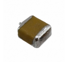 Image F951D226MBAAQ2.