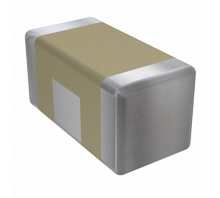 Image SBSPP1000103MXT.