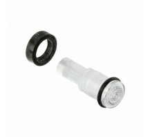 Image LSS_044_CTP.