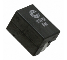 Image FP1107R2-R40-R.