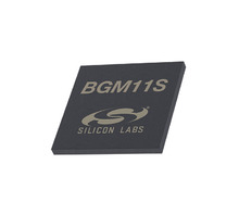 Image BGM11S12F256GA-V2R.