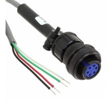 Image CCARPG25.