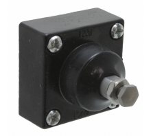 Image LSZ1V.