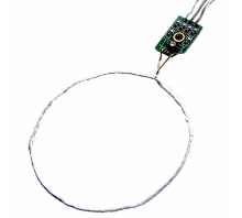 Image ANT-1356M.