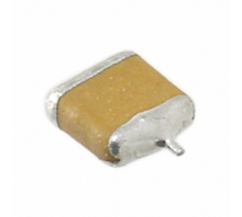 Image F951C336KTAAQ2.