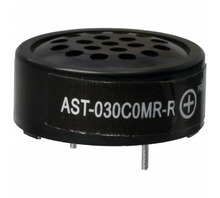 Image AST-030C0MR-R.