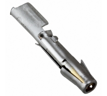 Image SC16ML1S31.