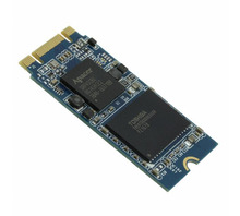 Image APM2T42P100128GAN-7TM.