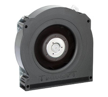 Image RLF100-11/12.
