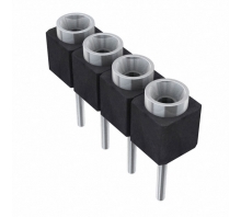 Image SS-104-TT-2-N.
