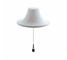 Image CMS38606-30NF.