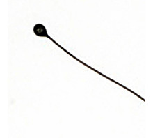 Image MC65F103C.