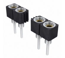 Image SS-118-T-2.