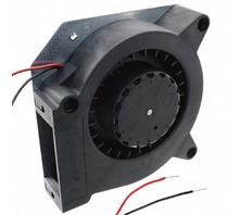 Image RL90-18/12N.