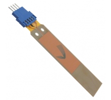 Image V21BL.