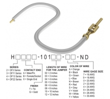 Image H2AXT-10105-W8.